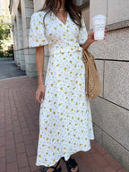 Clara Chic Printed Cotton Dress
