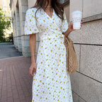 Clara Chic Printed Cotton Dress