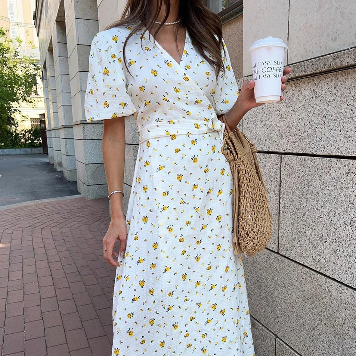 Clara Chic Printed Cotton Dress