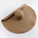 Sophia Oversized Brim Straw Hat