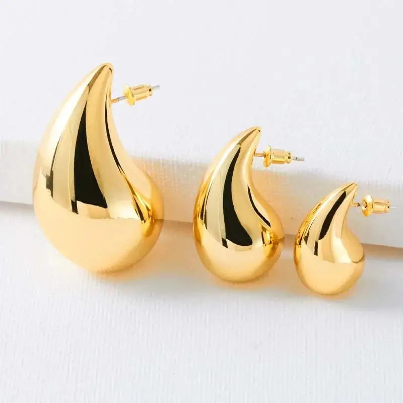 Camille Polished Earrings